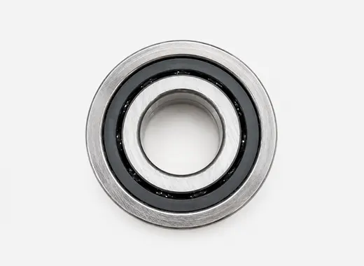 Cryogenic Bearings